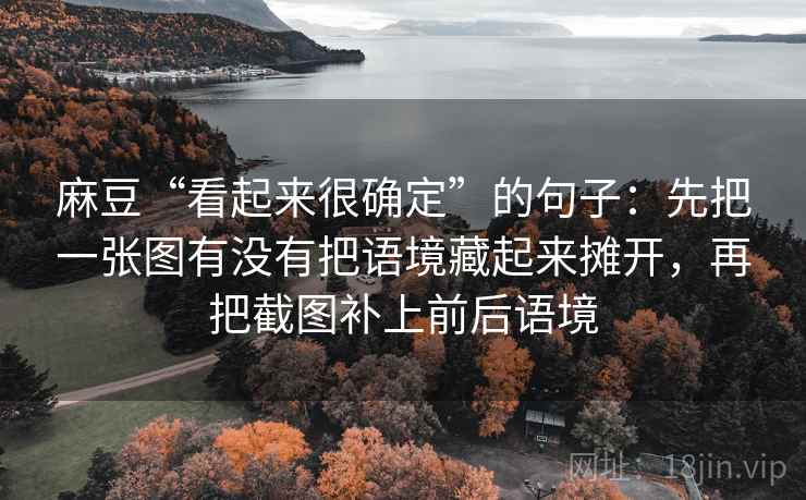 麻豆“看起来很确定”的句子：先把一张图有没有把语境藏起来摊开，再把截图补上前后语境